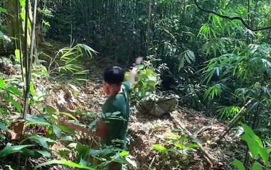 🌲 Building a Hidden Shelter for the Night | Ultimate Wilderness Survival! 🏕️ #survival #camping