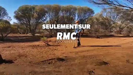 Australie, la ruée vers l'or