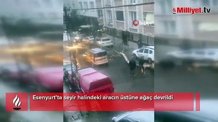 Esenyurt’ta ağacın seyir halindeki aracın üzerine devrildiği anlar kamerada