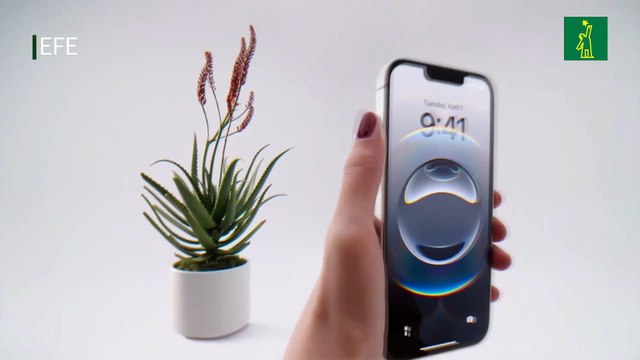 Apple presenta el iPhone 16e, su apuesta accesible con inteligencia artificial