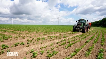 Comissão Europeia põe de lado Pacto Verde na nova visão da indústria agroalimentar