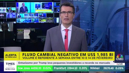 CEO da Espaço Smart explica como mercado de Light Steel Frame vem em ascensão no Brasil