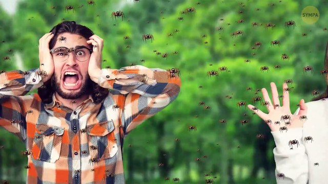 Les scientifiques ont découvert les phénomènes naturels les plus étranges de la Terre