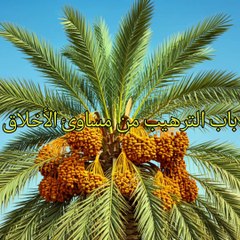 بلوغ المرام ١٢٣