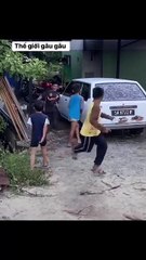 Pet Paradise TV 2025