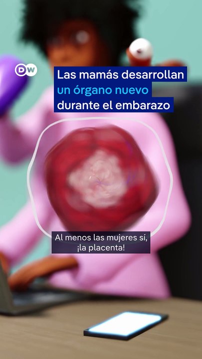 El nuevo órgano de mamá: la placenta