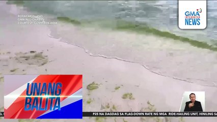 Lumot, dumarami dahil daw sa mainit na panahon | Unang Balita
