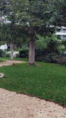 Plaza "La isla", Mérida, Yucatán, México