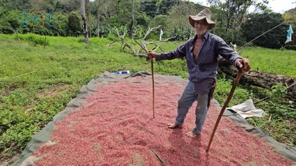 mqn-Tradición y sacrificio- así es el día a día de un frijolero en Tabarcía, Mora-190225