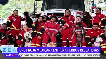La Cruz Roja Mexicana cuenta con 18 perros de búsqueda y rescate certificados