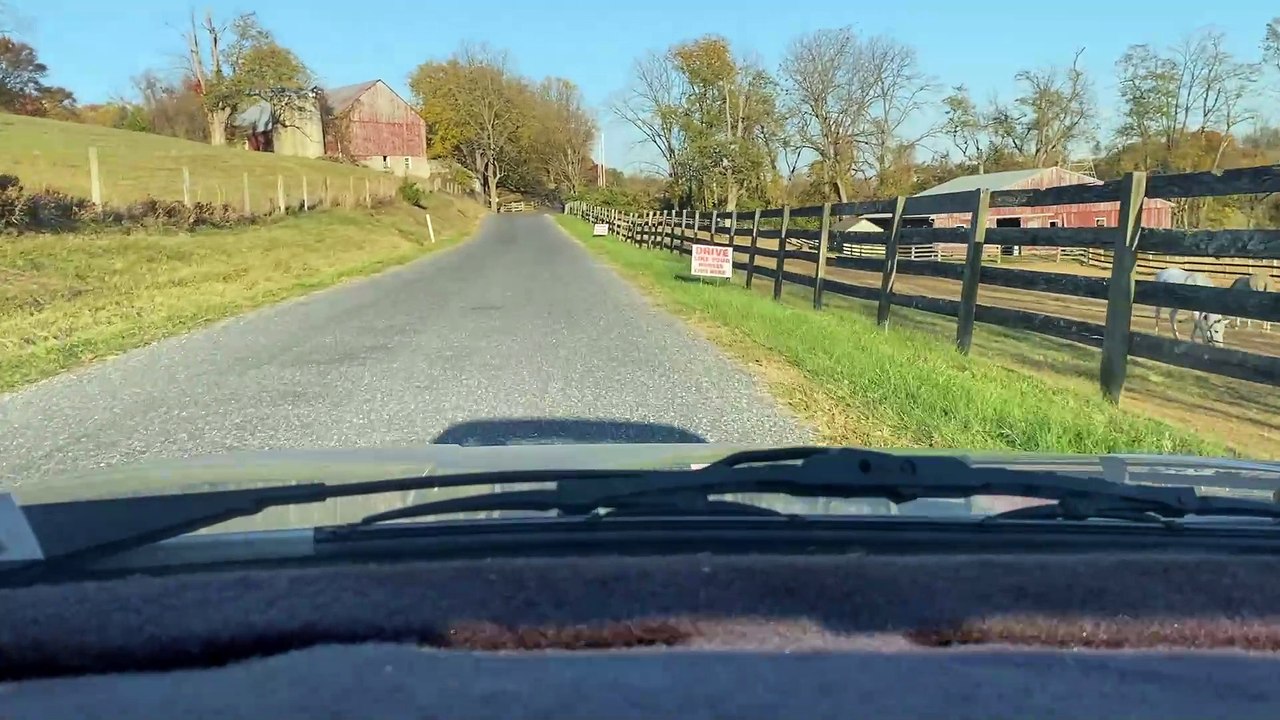 Sunday Drive