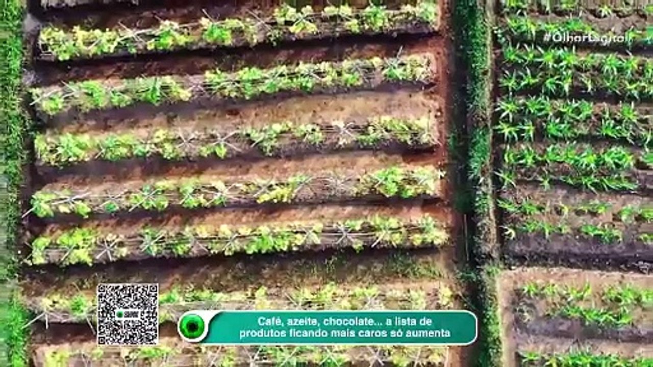 Café, azeite, chocolate... a lista de produtos ficando mais caros só aumenta