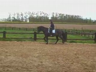 Travail en carrière 1er mai (3)