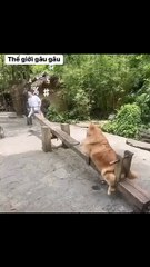 Why are you so light and smiling 😳😳