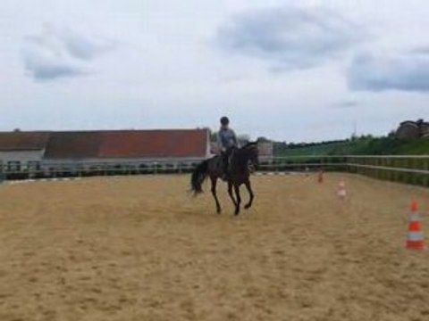 new au galop le 2 mai 2008