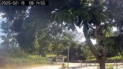 Carreta tomba e arremessa carros na MG-431 em Pará de Minas