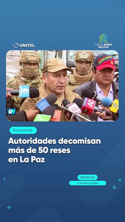 Autoridades decomisan más de 50 reses en La Paz