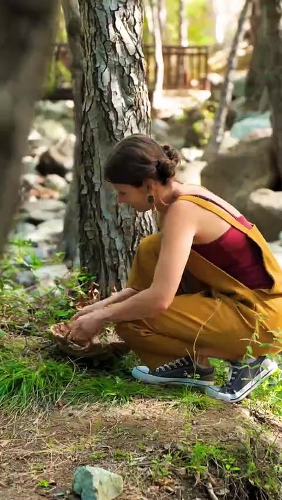 Survival fuel! Smart tips to stay fed and hydrated in the wild!