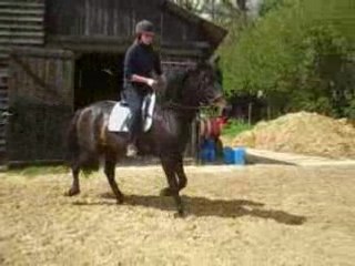 Travail en carrière 1er mai (7)