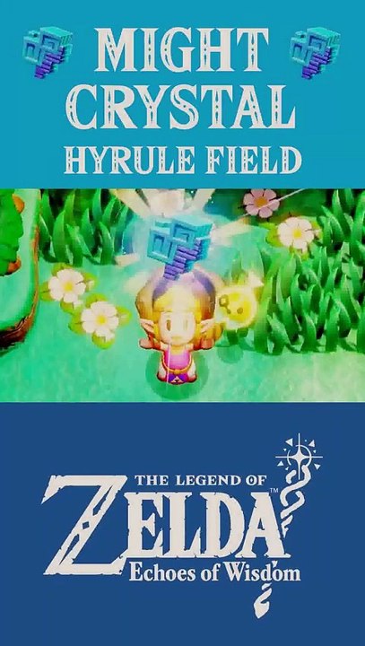 The Legend of Zelda: Echoes of Wisdom | Might Crystal | Hyrule Field