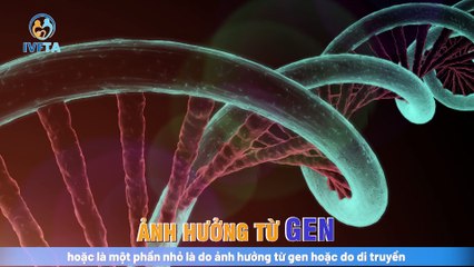 Buồng trứng đa nang có ảnh hưởng đến sức khỏe sinh sản không? | IVF Tâm Anh