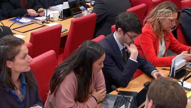 Commission des lois : Mme Laurence Vichnievsky, proposée en tant que membre du Conseil constitutionnel - Mercredi 19 février 2025