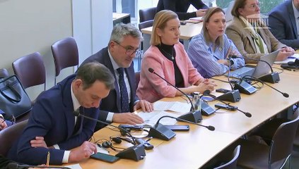 Commission de la défense : Auditions diverses - Mercredi 19 février 2025