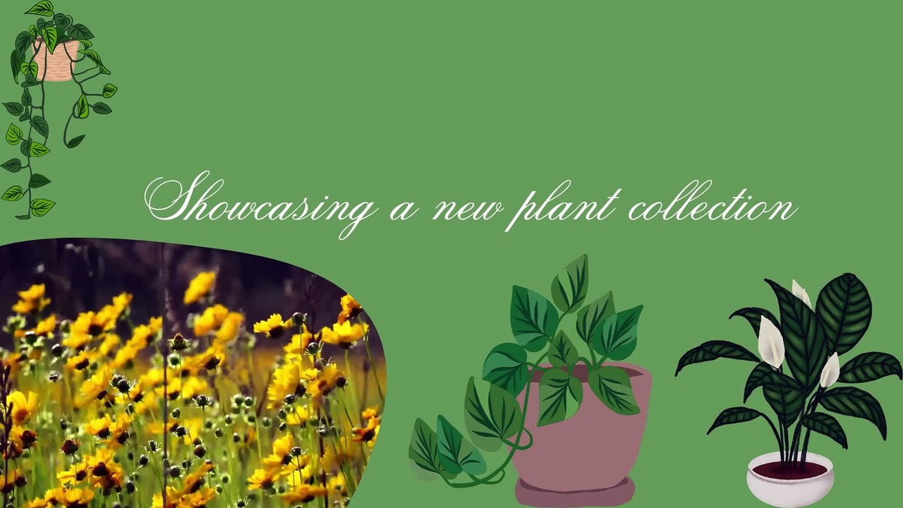 Plant Shop