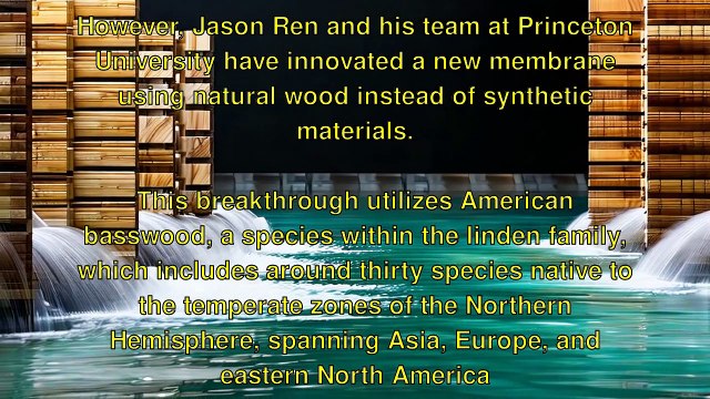 Revolutionizing Water: Wood Membrane Breakthrough