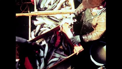 The Fish Thief: A Great Lakes Mystery | movie | 2025 | Official Trailer