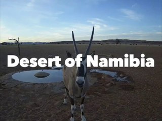 DESERT OF NAMIBIA (2024) Bande Annonce VOSTF