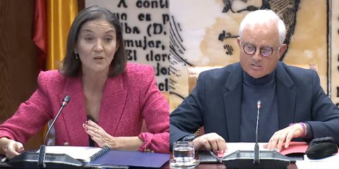El presidente de la 'comisión Koldo' estalla contra Reyes Maroto: "Usted no va a reírse aquí"