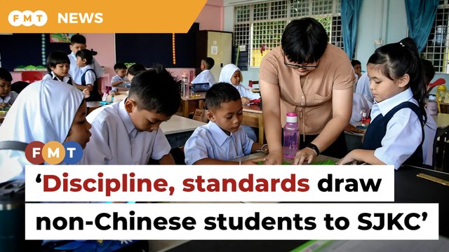 Discipline, standards drawing non-Chinese students to Chinese schools, says academic