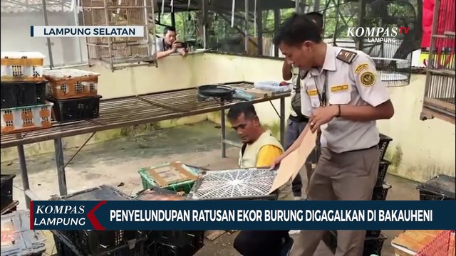Penyelundupan Ratusan Ekor Burung Digagalkan di Bakauheni