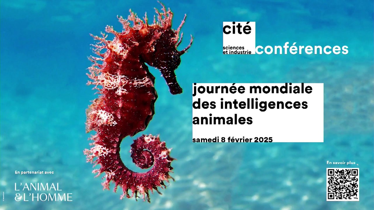 Les animaux de ferme…si malins !