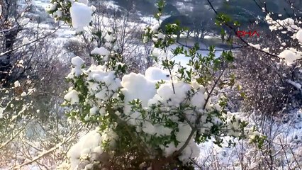 İstanbul - Sarıyer'de akşam yolda kaldılar; araçlarını sabah kurtardılar