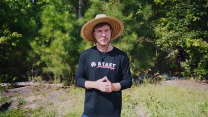 Empowering Girls In India | Mr Beast |