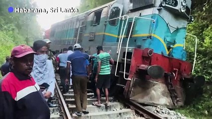Sri Lanka train derails after smashing into elephants