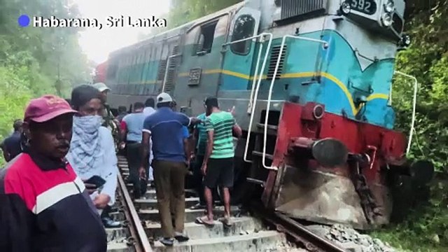 Sri Lanka train derails after smashing into elephants