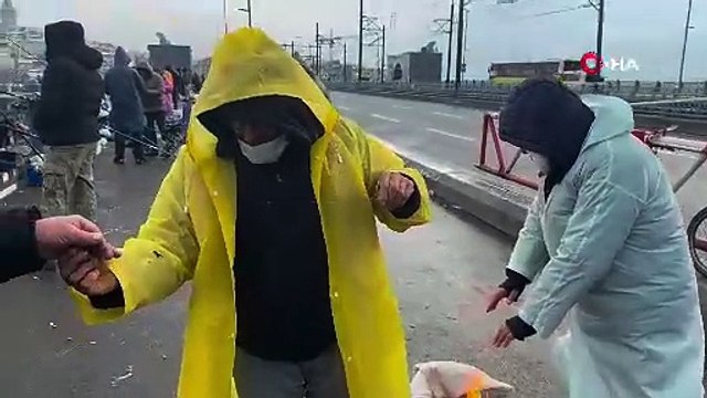 Dondurucu soğukta balık keyfi! Kar yağışı onlara engel olmadı