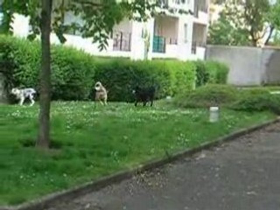 Dans le jardin