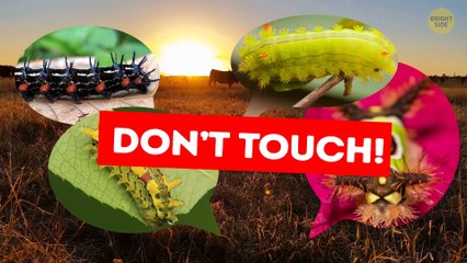 Innocent Things That Can Lead to a Real-Life Nightmare