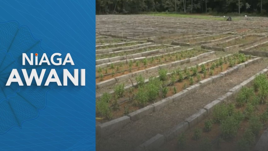 Kemajuan teknologi digital, AI perkukuh sektor agromakanan dan agrikomoditi