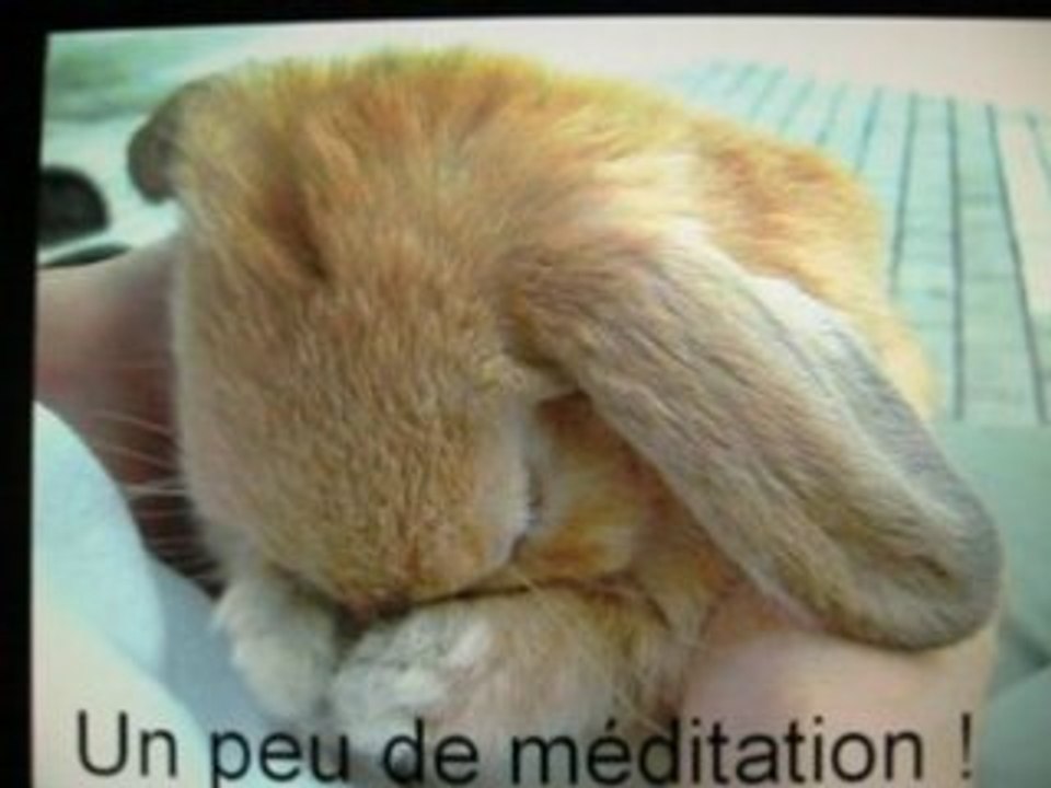 Détendez vous
