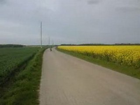 DT Q du 27 , top rose prepa 28 oko,scr racing line