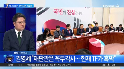 권영세 “헌재 TF가 흑막”…‘TF 대본’ 뭐길래?