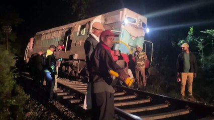 Trem colide com grupo de elefantes e descarrila no Sri Lanka