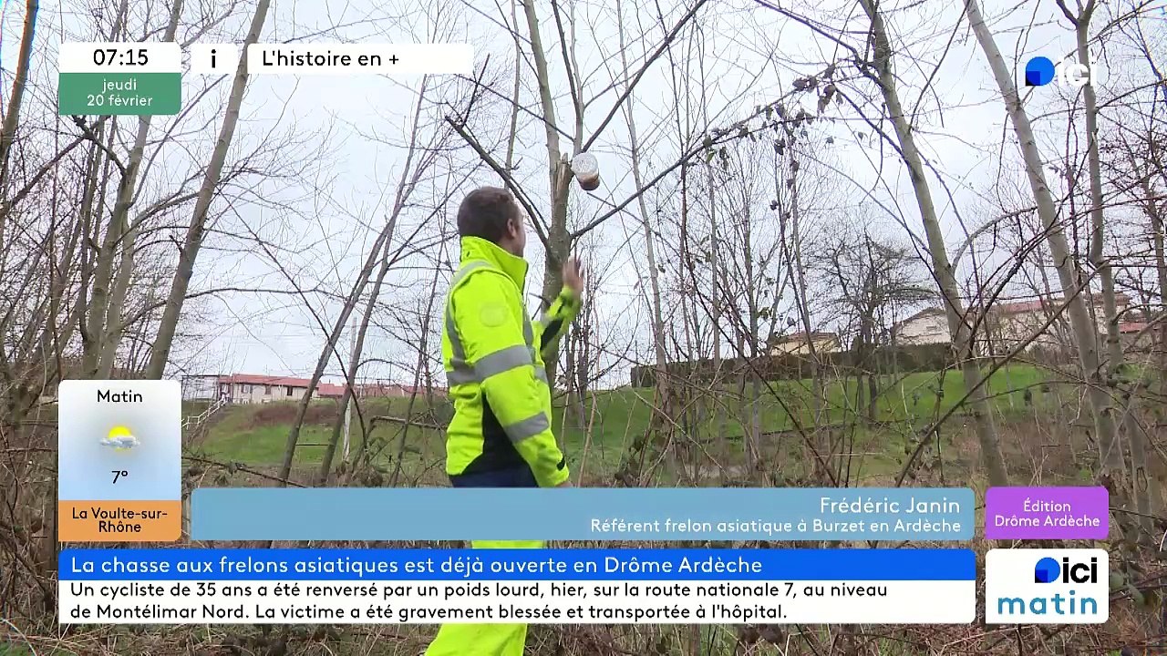 La chasse au frelon asiatique ouverte en Ardèche