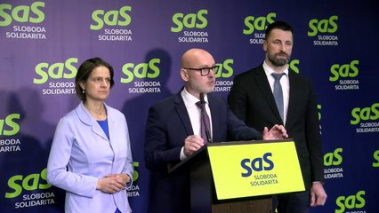 TK strany Sloboda a Solidarita - Súdnictvo