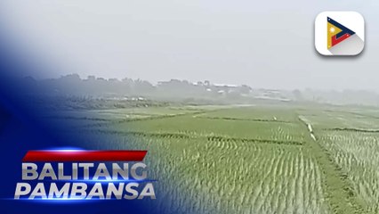 Ilang araw na pag-ulan, nakatulong ng malaki sa mga magsasaka sa Cagayan